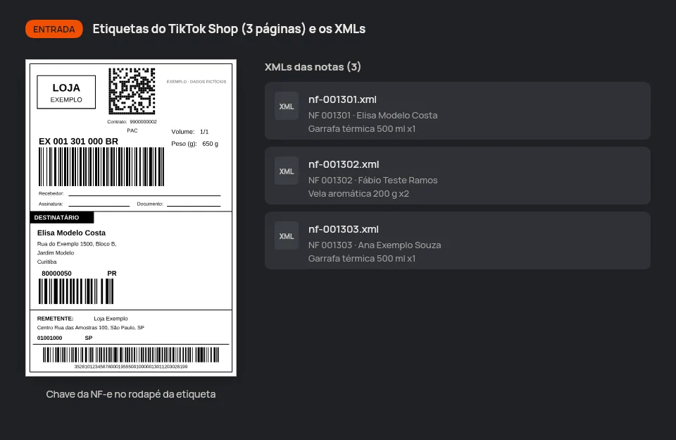 Entrada da demonstração: PDF de etiquetas 10 x 15 dos Correios baixado no TikTok Shop, uma por página (mais de um PDF entra na ordem)